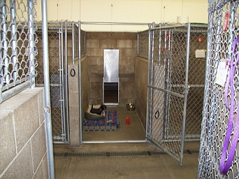 Kennel Interior