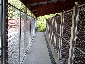 Outdoor Kennels Side-By-Side
